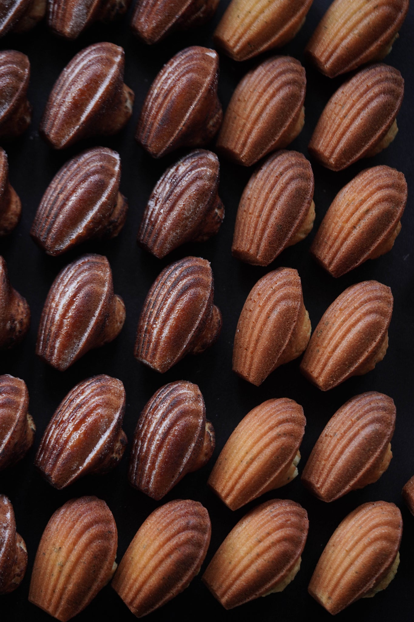 Earl Grey & Vanilla Brȗlée Madeleine